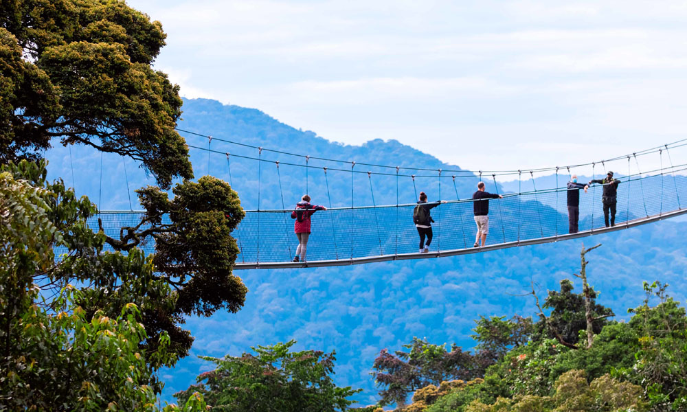 Canopy Walk Experience in Nyungwe Forest National Park