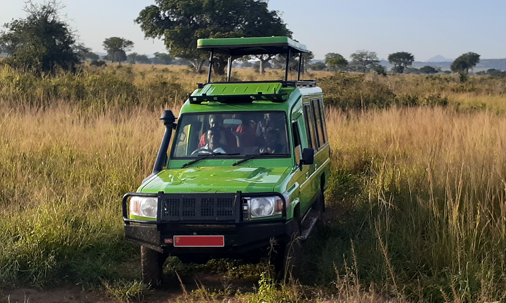 Safari Car Hire