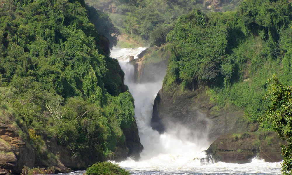 3 Days Murchison Falls National Park Safari