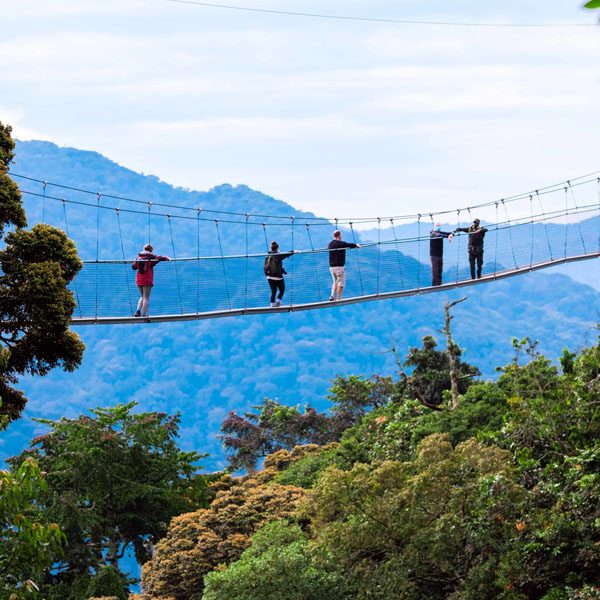 Nyungwe Forest National Park