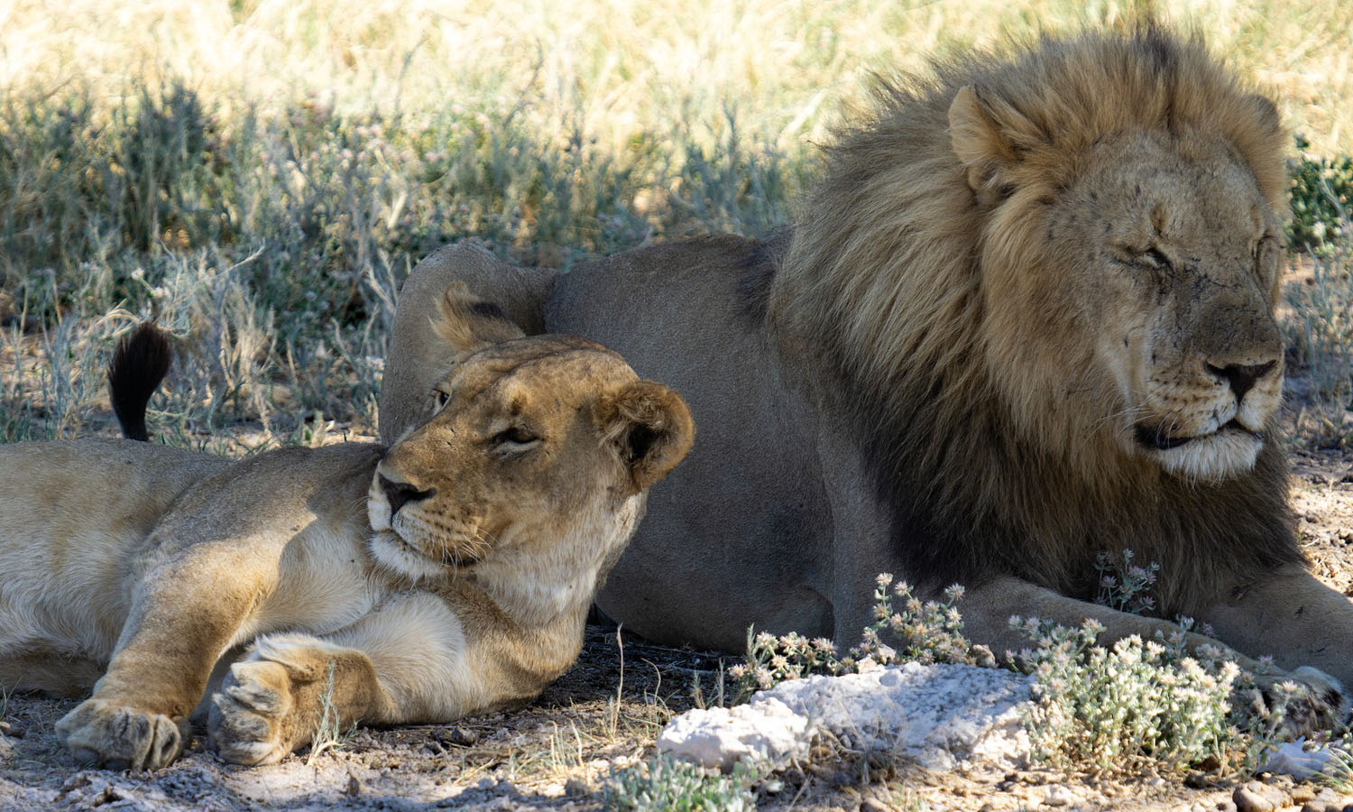 Unique Rwanda Vacation Experts Unique Rwanda Vacation Experts