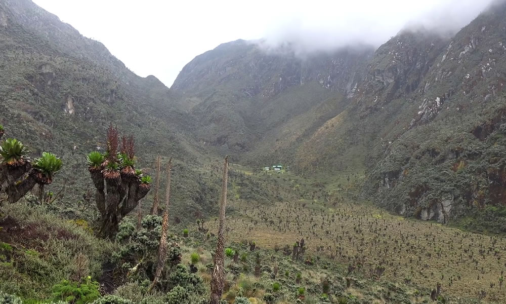 Rwenzori National Park