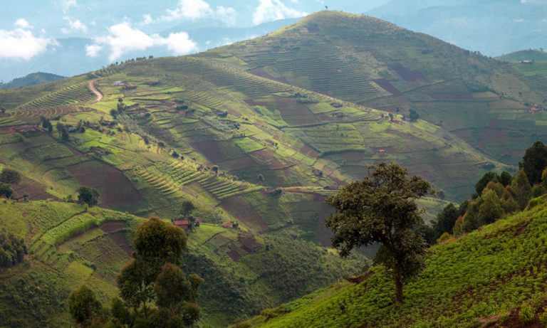 Rwanda visual data 3