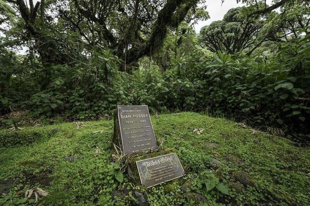 Diana Fossey Tomb Hike