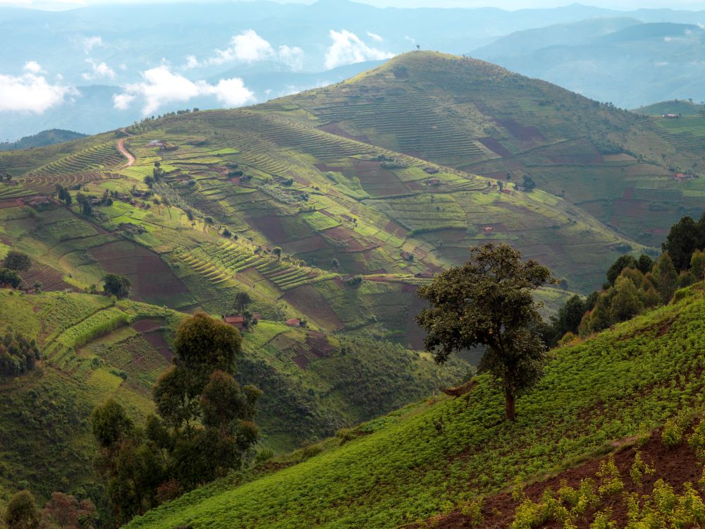 Discovering Rwanda's Natural Wonders