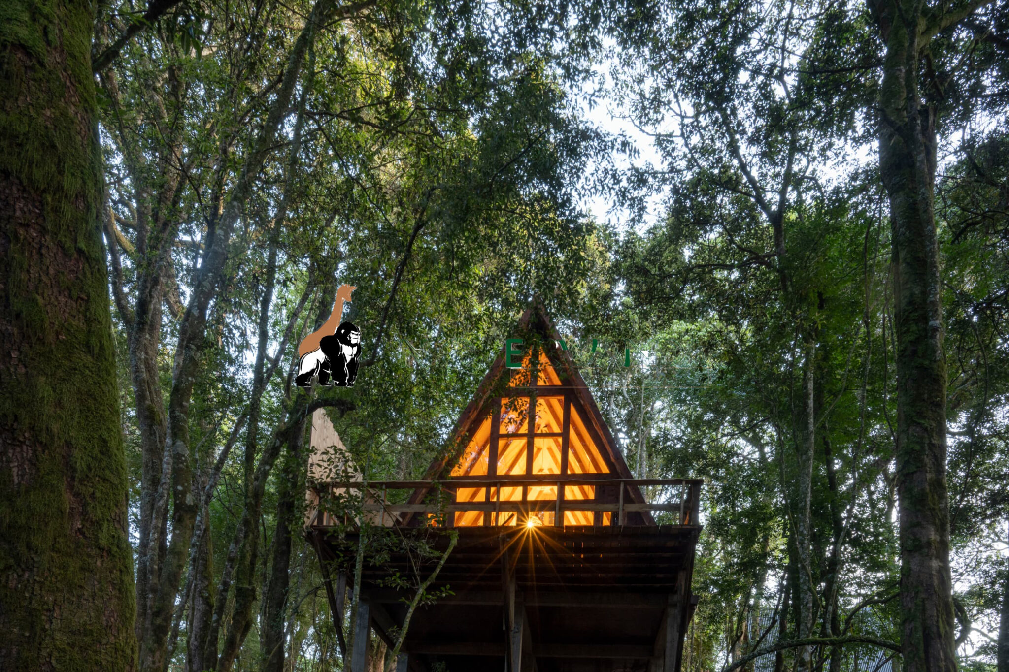 Munazi Eco Lodge - Unique Rwanda Vacation Experts