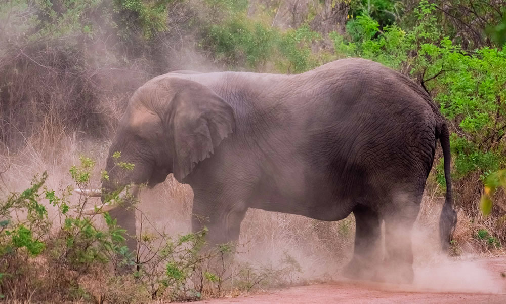 10 Days Experience Rwanda Adventure Safari